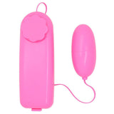 10 Toy Bundle with 6 Vibrators & a Toy Storage Bag!